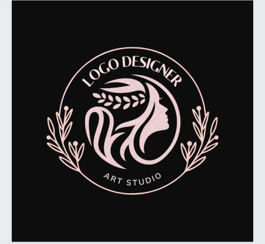 I will make 2 attractive logos with low price