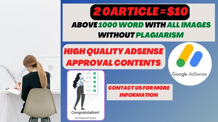 I will Author 20 Articles 1200+ Words High Quality or Blog Content with 0% Plagiarism