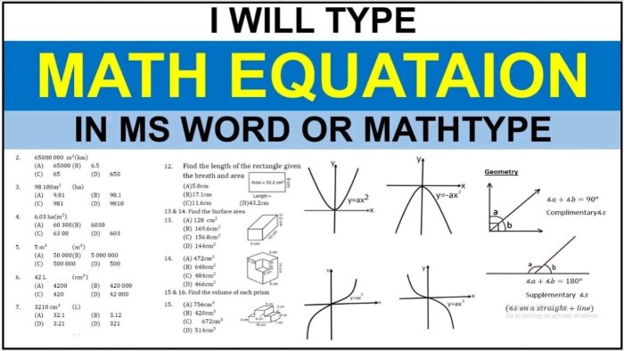 I will be type math equations and formulas in ms word or mathtype