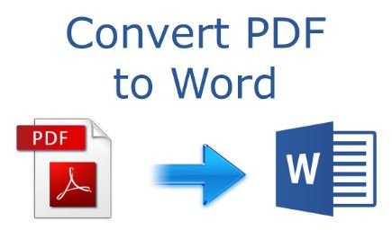 I will convert PDF TO WORD documents