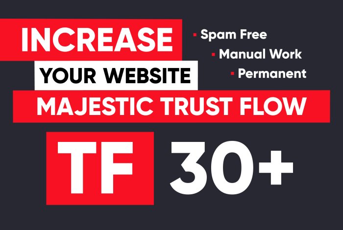 I will Increase Majestic TF 30+ CF 20+ of your website