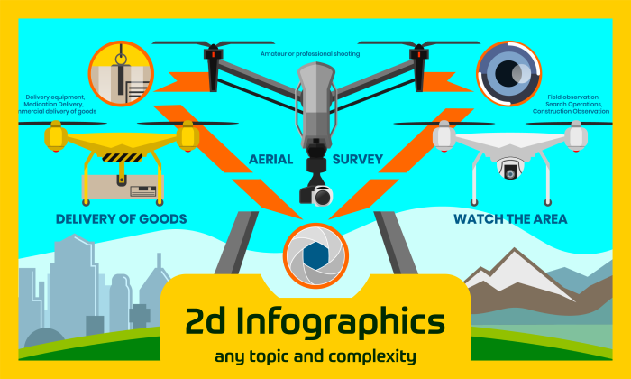 I will draw infographics for your social networks or presentation