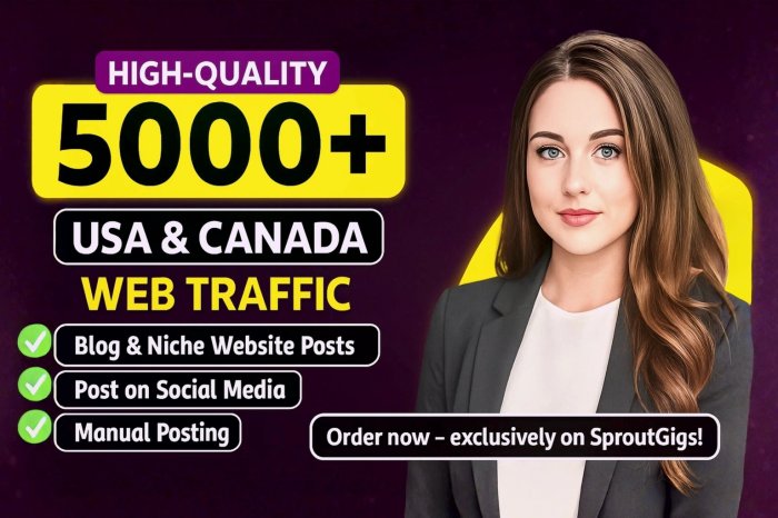 I Will Drive 5000+ High-Quality USA & Canada Web Traffic From Different Social Media & Google Platfo