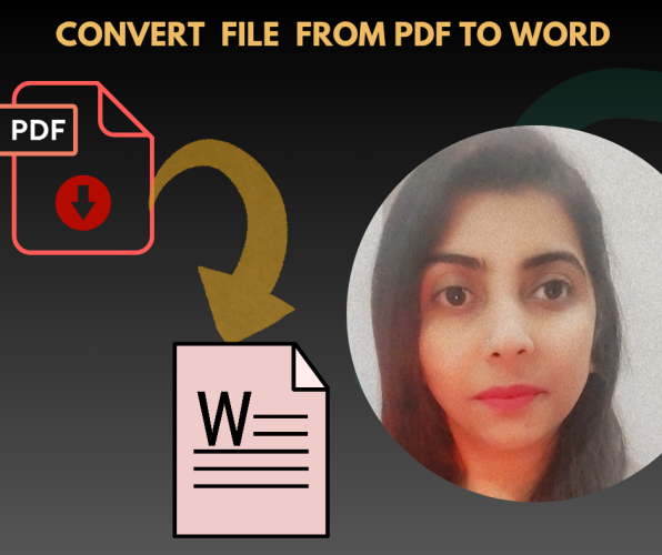 I will provide fast & accurate pdf to word file conversion service