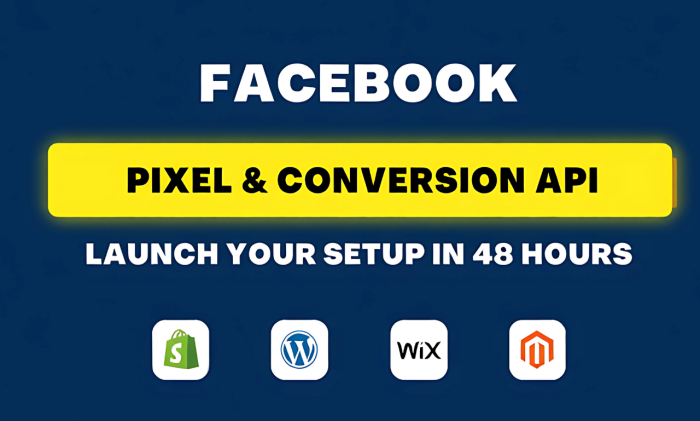 I will set up Facebook pixel, meta pixel and conversion API with GTM