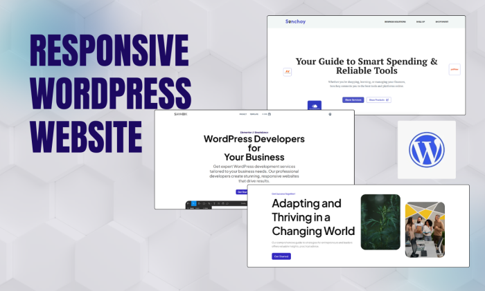 I Will Build a Modern & Responsive WordPress Blog Website for You