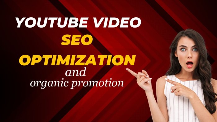 YouTube Video SEO Optimization And Organic Promotion