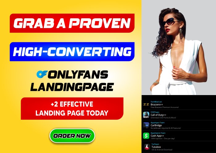 I Will Provide You 2 Exclusive High Converting Landing Page