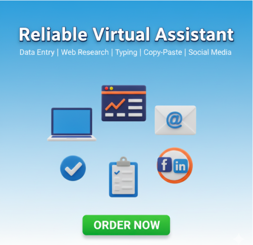 I Will Be Your Virtual Assistant for Data Entry, Web Research, Copy Paste(Fast & Accurate) for 1 day