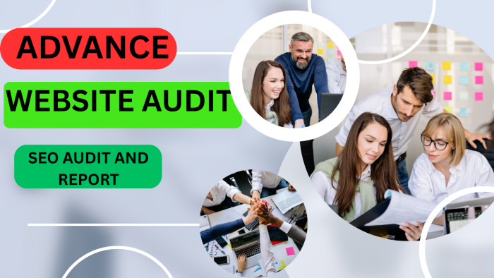 I will do a complete website audit, SEO optimization and performance improvement
