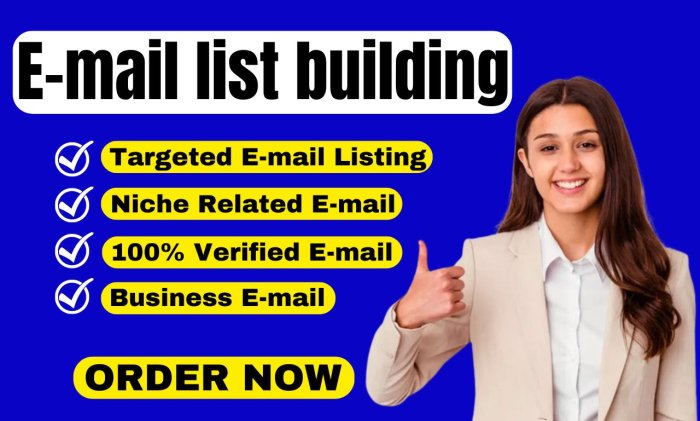I will make verified email list building and bulk email collection for email marketing