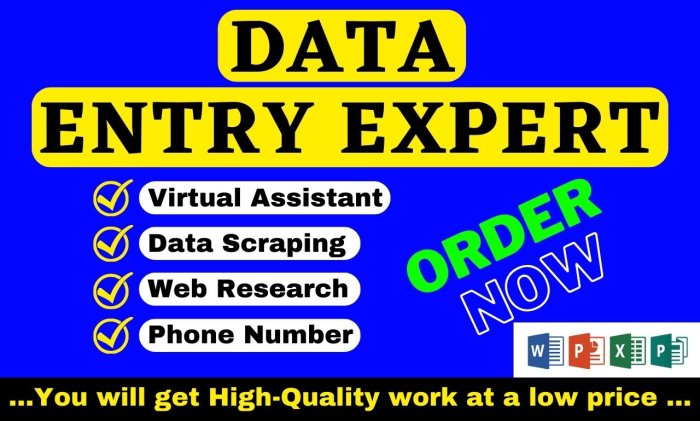 I will do flawless data entry data Collection data Extraction and virtual assistant