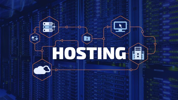 I will set up your website on shared hosting.