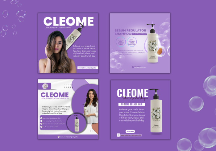 I will do complete social media branding and design professional posts