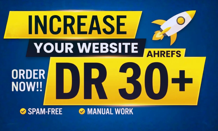 I Will Increase Ahrefs DR 30+ Of Your Website