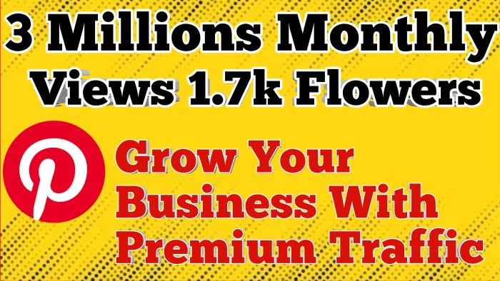 I Will Promote Your Product or Link to My 3M Monthly View Pinterest Account