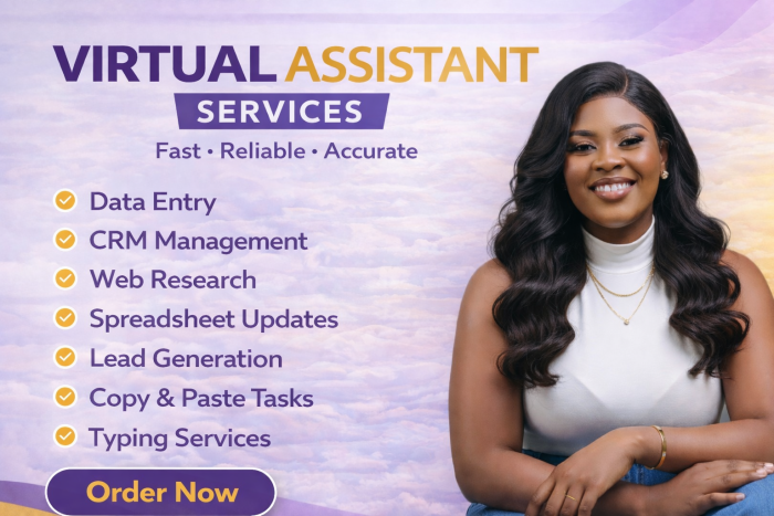 I Will Be Your Virtual Assistant For One Day Accurate Data Entry, Copy Paste, And Web Research