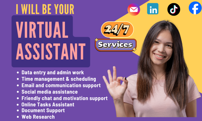 I will be your administrative virtual assistant, data entry person