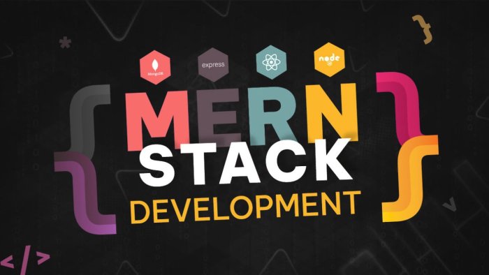 I Will Develop a MERN Stack Web App Frontend Backend