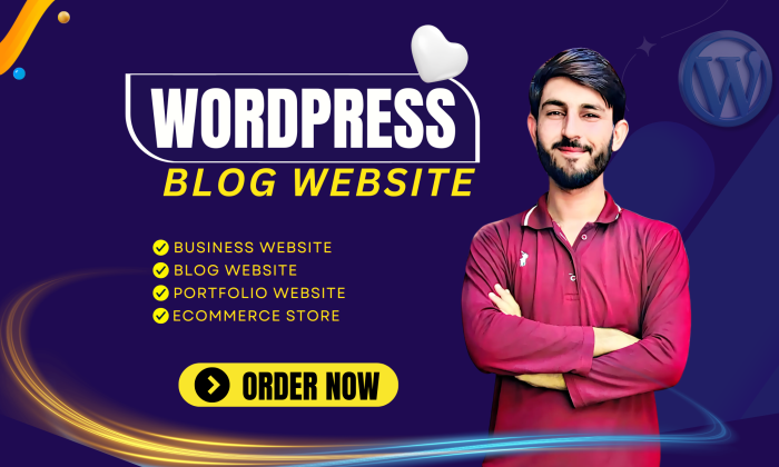 I will design a professional WordPress website