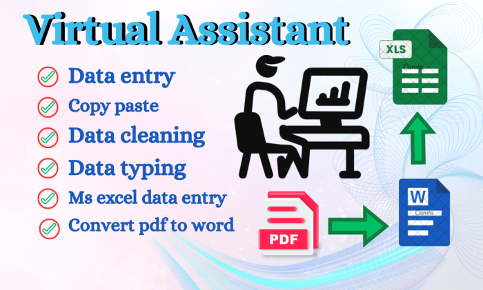 I will be your Virtual Assistant for two days to data entry, copy paste, typing and scraping
