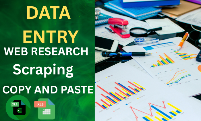 I will do accurate Excel Data Entry, Data Cleaning and Web Research