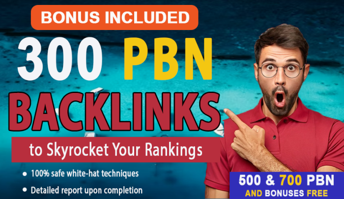 I will provide 300 PBN Backlinks to Skyrocket Your Rankings