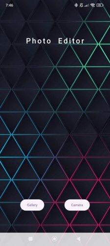 I will develop a professional Flutter mobile app for Android and iOS