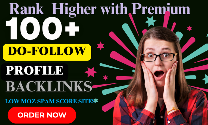 I Will Do High Quality 100 Profile Backlinks for Better SEO