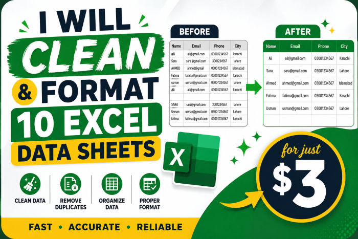 I Will Clean and Format 10 Excel Data Sheets for $3