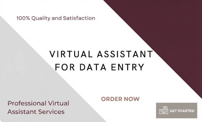 I will be a virtual assistant for data entry