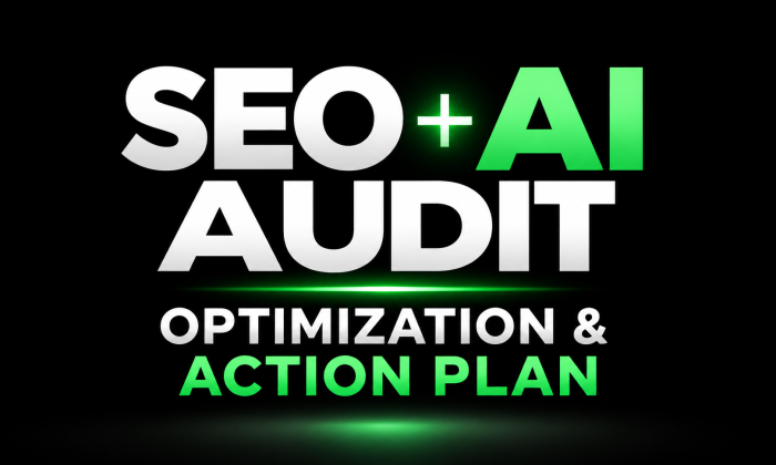 I will create SEO audit report and action plan, on page optimization and ai visibility